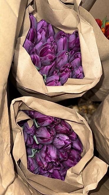 Букеты из живых цветов: 🌷🌷🌷*Дорогие покупатели!*🌷🌷🌷 • Кто хочет порадовать и поздравить своих — 11