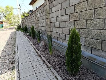 Спил деревьев, заготовка дров: Компания Green Scape предлагает широкий спектр услуг по — 17