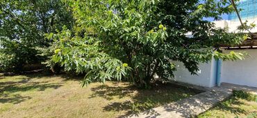 Torpaq sahələrinin satışı: 12 sot, Tikinti, Makler, Kupça (Çıxarış) — 26