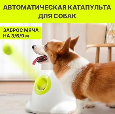 3d сетка: Автоматическая катапульта для собак
В комплекте 3 мяча — 2