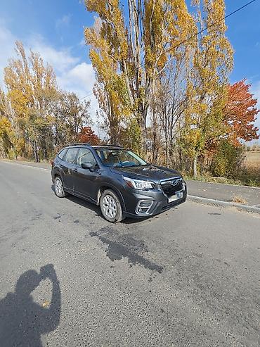 Subaru: Subaru Forester: 2020 г., Вариатор, Бензин, Кроссовер — 12