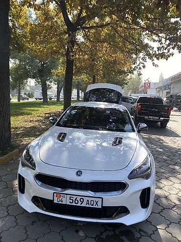 launch pro elite: Kia Stinger: 2021 г., 2.5 л, Бензин, Лифтбек — 3