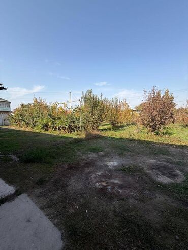бишкек прадаю дом: Дача, 100 м², 3 комнаты, Агентство недвижимости, Косметический ремонт
