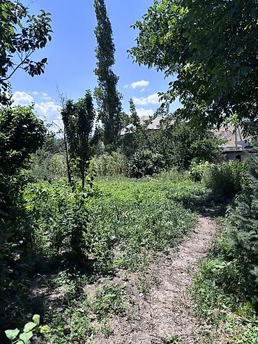 9 соток, Курулуш, Кызыл китеп, Техпаспорт