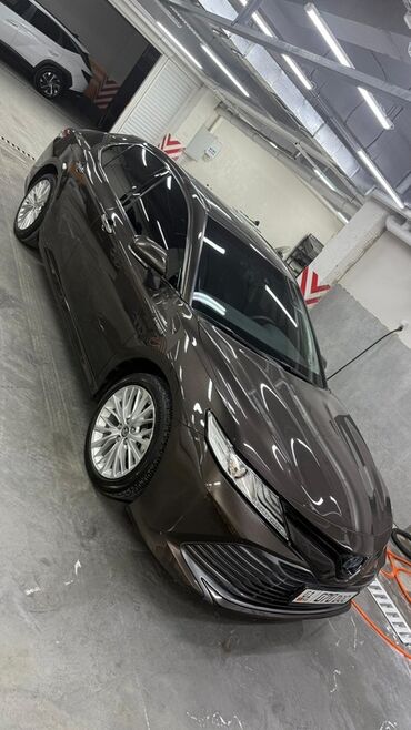 продаю тойота каролла: Toyota Camry: 2019 г., 2.5 л, Вариатор, Гибрид, Седан