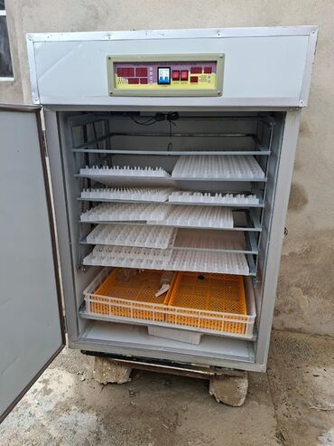 Digər Avtomobillər: 1100 yumurta, Çin, Tam avtomat