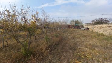 Torpaq sahələrinin satışı: 6 sot, Maklerlər narahat etməsin, Kupça (Çıxarış) — 8