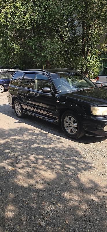 forester sg9: Subaru Forester: 2003 г., 2 л, Автомат, Бензин, Универсал — 5