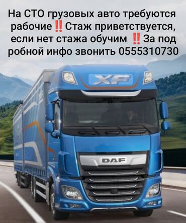 спецтехника запчасти: Грузовик, DAF