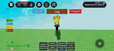 фрукты в корзине: Игровой аккаунт/набор в Roblox (симулятор с питомцами и предметами) — 1