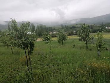 Həyət evləri və villaların satışı: 5 otaqlı, 150 kv. m, Yeni təmirli — 25