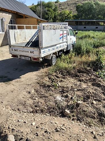 20 тонна: Hyundai Porter (Hyundai AIC) — компактный бортовой грузовик. Основные — 1