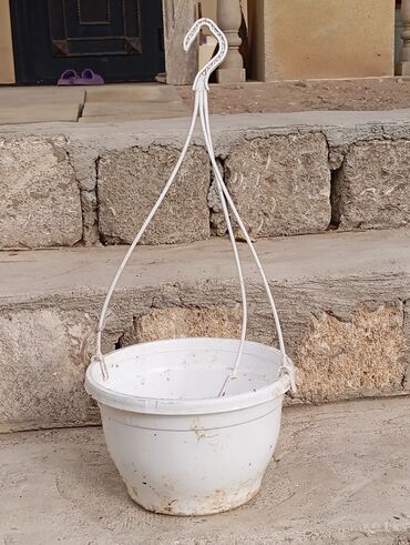 Çöl bitkiləri: Asılma üçün plastik vedrə/saksı - Material: möhkəm ağ plastik korpus