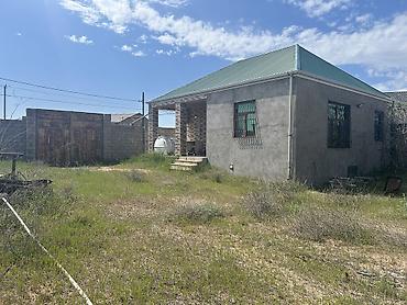 xasaxuna: 65 sot, Kupça (Çıxarış) — 5