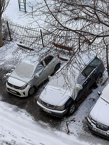 мухобойка для машины: Автотент солнцезащитный универсальный Защитите автомобиль от жары — 3