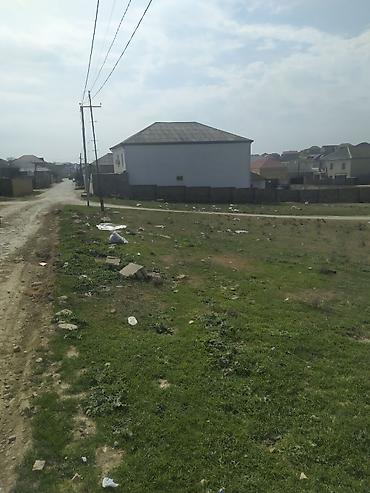 Torpaq: 10 sot, Tikinti, Mülkiyyətçi, Kupça (Çıxarış) — 2