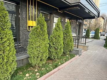 о2 политех: Аренда коммерческого помещения в современном жилом комплексе — 4