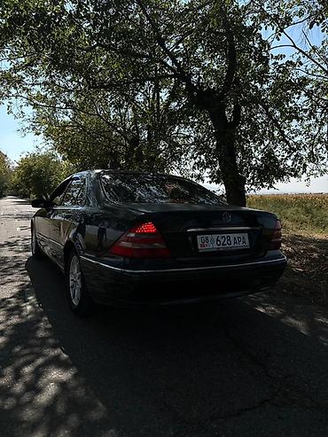 mazda 323 2003: Mercedes-Benz S-Class: 2001 г., 4.3 л, Автомат, Газ, Седан — 4