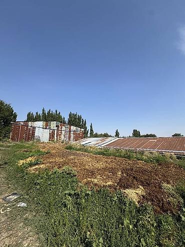 Продажа участков: 330 соток, Для сельского хозяйства, Договор дарения — 8