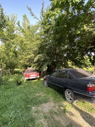 нексия алмашам: Daewoo Nexia: 2008 г., 1.5 л, Механика, Бензин, Седан