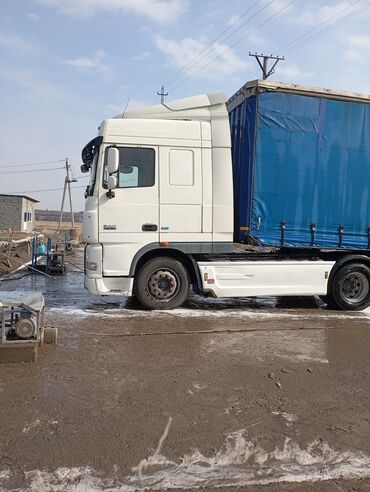 Тягачи: Тягач, DAF, 2013 г., Шторный — 9