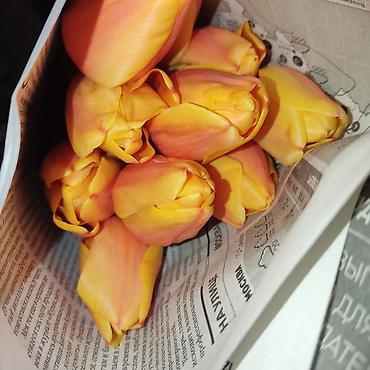 Букеты из живых цветов: Открыта бронь на тюльпаны оптом и розницу 2026 года к 8 марта — 8