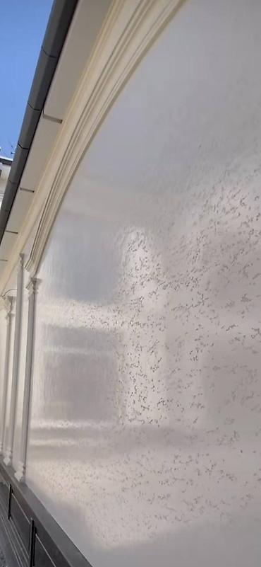 Фасадные работы: Декоративная фасадная отделка “Короед” + архитектурный декор - — 3