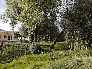 Продажа сельхоз предприятий: Ферма КРС, 25 соток, Действующий, С оборудованием, Электричество — 15