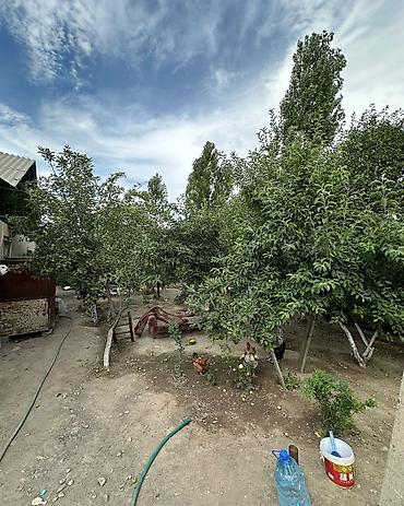 1: ✨ Продаётся дом в с. Сокулук ✨ 🏡 Характеристики: • — 4