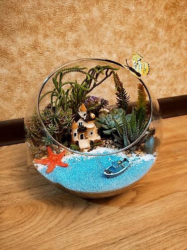 Akvariumlar: Akvarium İstənilən növdə, ölçüdə yumru akvariumlar, terrariumlar — 6