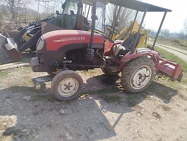 YANMAR Мини-тракторлор: Компактный трактор YTO MS250 жылы 2006 мотор ачылган эмес иштетилбей — 2