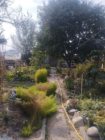 Продажа коттеджей и домов: Продается дом жилой с отоплением умная печка сарай Баня в принципе со — 8