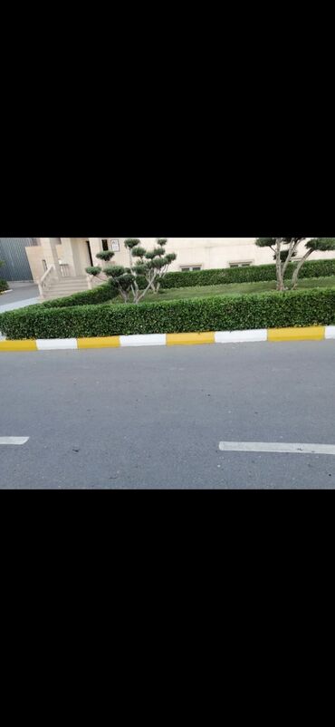 Bağbanlar: Salam aleykum Adim Sahib 43yaşim var Bakıda yaşayiram Baki etrafi — 3