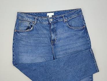 stanley zara: H&M, Jeansy damskie, rozmiar 4XL — 1