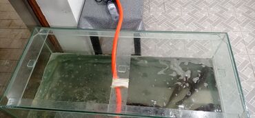 akvarium xırdalan: Dördbucaq akvarium, Boş, 5500 l, Pulsuz çatdırılma, Ünvandan götürmə