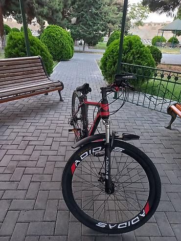 İdman velosipedləri: Велосипед. Красного цвета. В отличном состоянии, как новый. Размер 29 — 3
