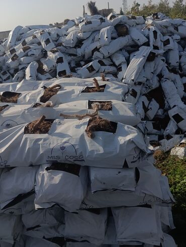 Torf: Torf gubresinn satşi cox aln endirm var — 19