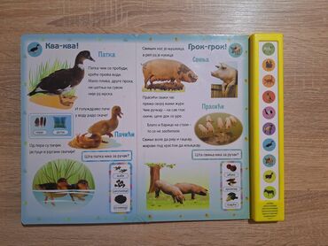 Igračke: Zvučna knjiga Domaće društvance Vulkančić i učimo brojeve Domaće — 4