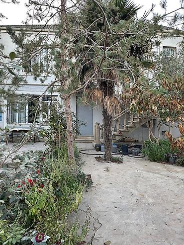 kapsul evler: 7 otaqlı, 202 kv. m — 2