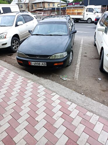 мотор мерседес 2.7 дизель: Toyota Camry: 1995 г., 0.3 - engine capacity л, Автоматтык, Бензин, Универсал