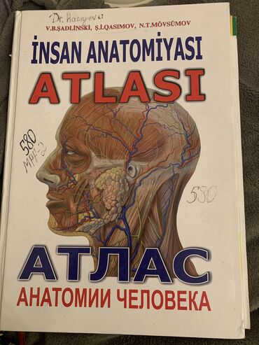 anatomiya kitabı: Anatomiya atlası, həkimlər,tibb universiteti, tibb kolleci tələbələri