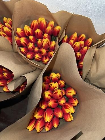 Букеты из живых цветов: 🌷 Тюльпаны оптом и в розницу!🌷 Свежие, хрустящие, плотные бутоны 🌿 at lalafo.kg — 6 Букеты из живых цветов: 🌷 Тюльпаны оптом и в розницу!🌷 Свежие, хрустящие, плотные бутоны 🌿 — 6