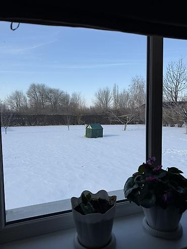 Продажа коттеджей и домов: Продаётся жилой дом с большим участком. 🌿 Продаётся уникальный — 16