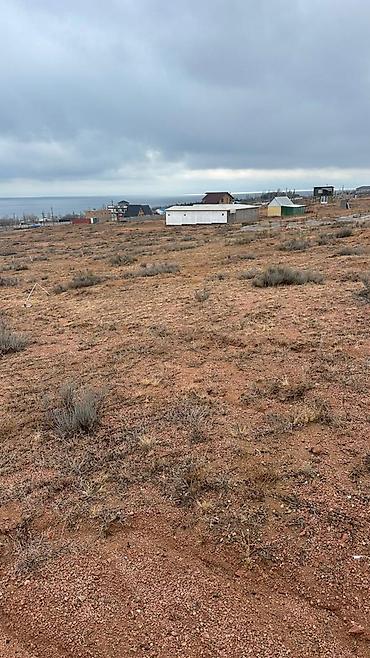 Продажа участков: 100000 соток — 12