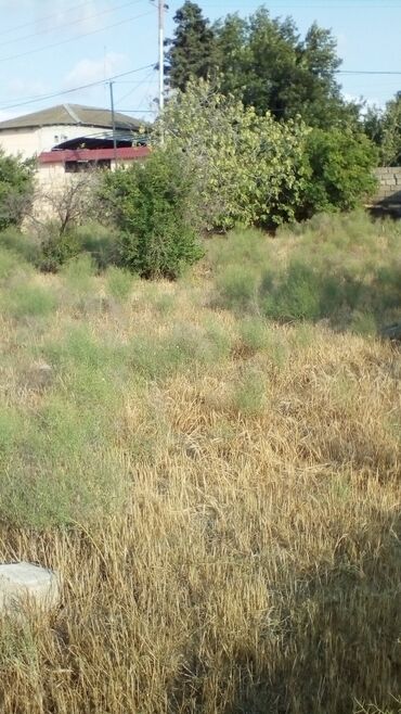 xacmazda satilan torpaqlar: 6 sot, Tikinti, Barter mümkündür, Kupça (Çıxarış)