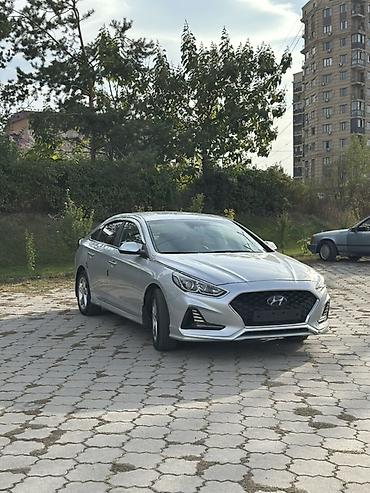 соната жёлтый: Hyundai Sonata: 2020 г., 2 л, Автомат, Газ, Седан — 4