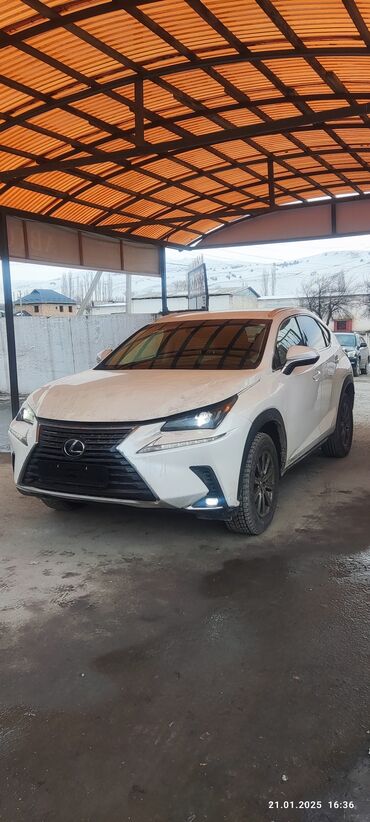 Lexus: Lexus NX: 2019 г., 2 л, Автомат, Бензин, Кроссовер