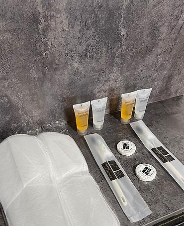 Аренда отелей и хостелов: Посуточная аренда 
Гостиница — 1