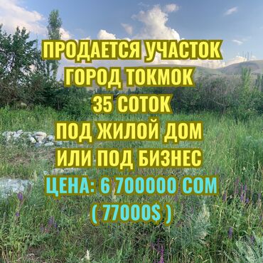 дом савхоз фрунзе: 35 соток, Для бизнеса, Красная книга, Тех паспорт, Договор купли-продажи
