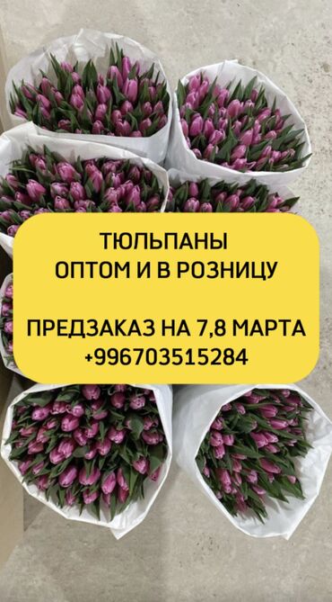 гулдор бишкек: Уруктар гүлдүн: Жоогазын, Өзү алып кетүү, Акылуу жеткирүү